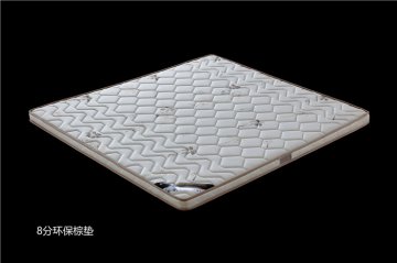 <b>8分环保棕垫</b>