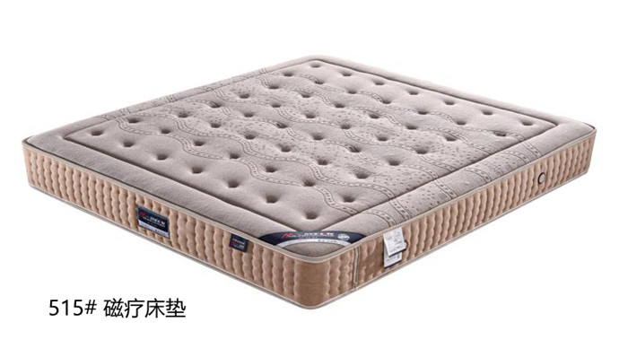 515# 磁疗床垫